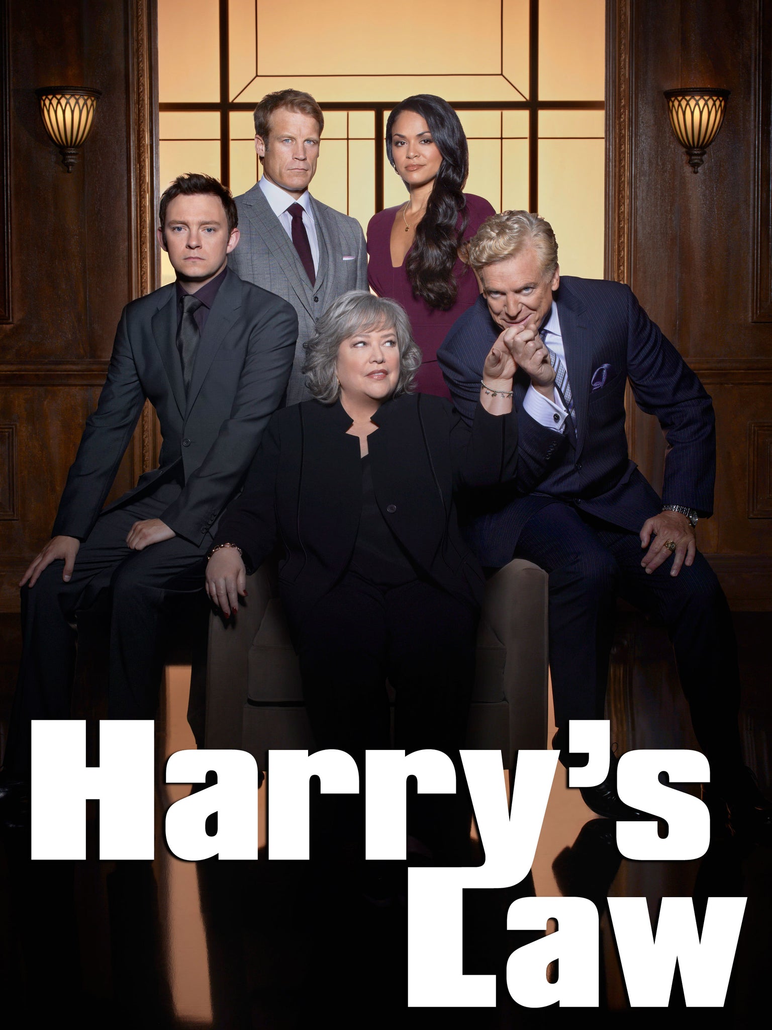 Harry's Law Complete Series 2011 Dvd