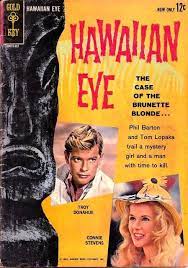 Hawaiian Eye Complete Series 1959 Dvd