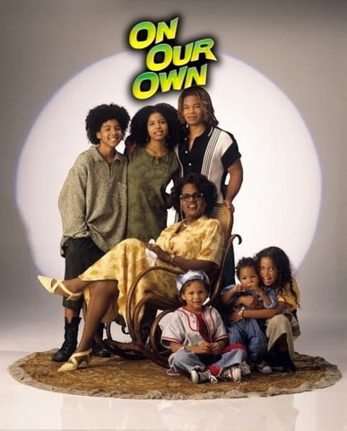 On Our Own Complete Series 1994 Dvd