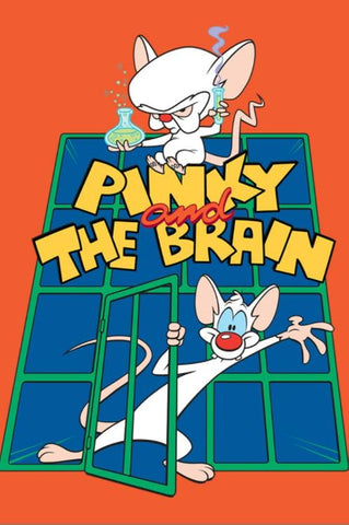 Pinky and the Brain Complete Series 1995 Dvd