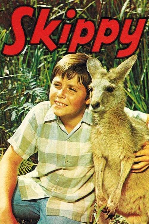 Skippy: The Bush Kangaroo Complete Series 1968 Dvd