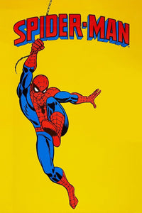 Spider-Man 1967 Complete Series Dvd