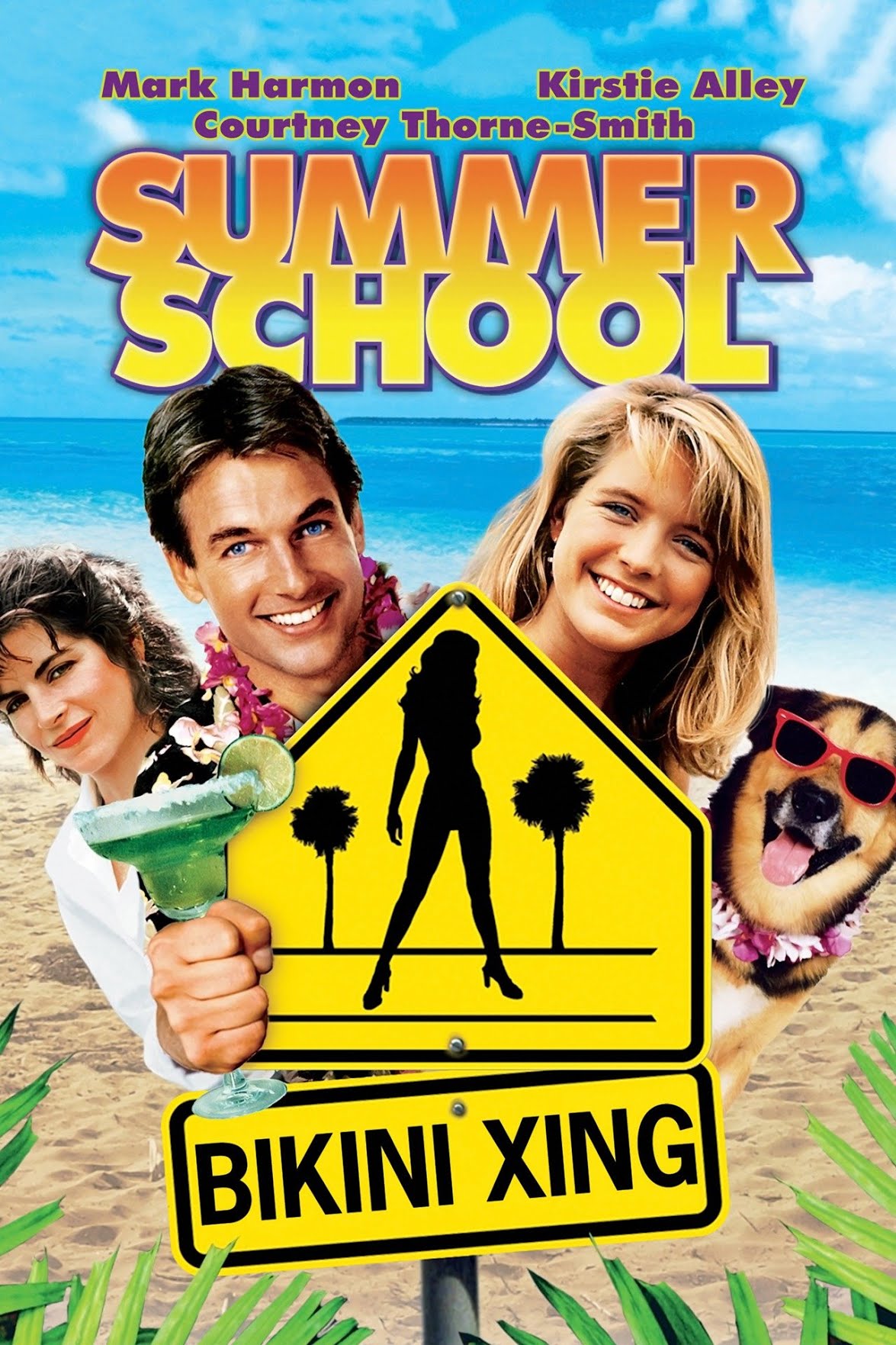Summer School Dvd (1987)