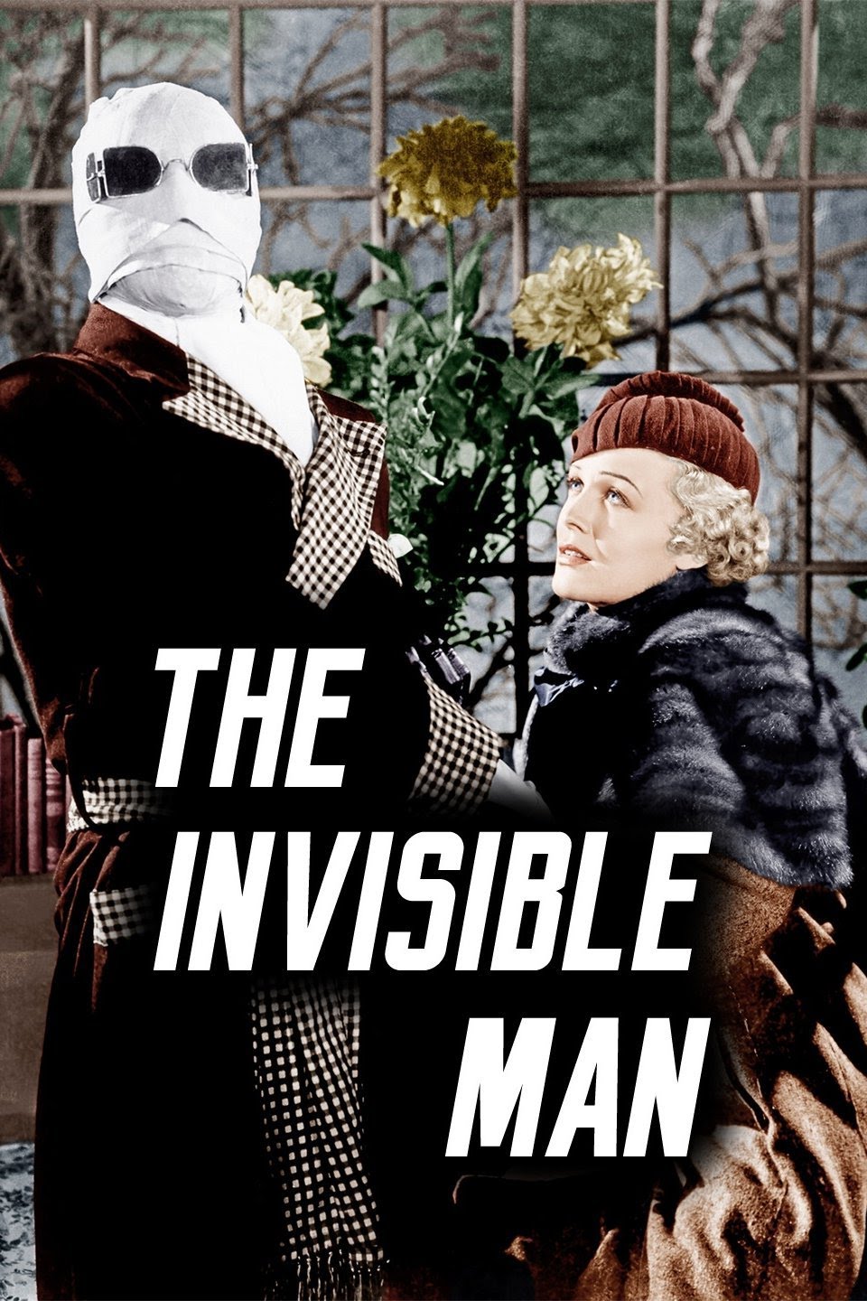 The Invisible Man Complete Series 1975 Dvd