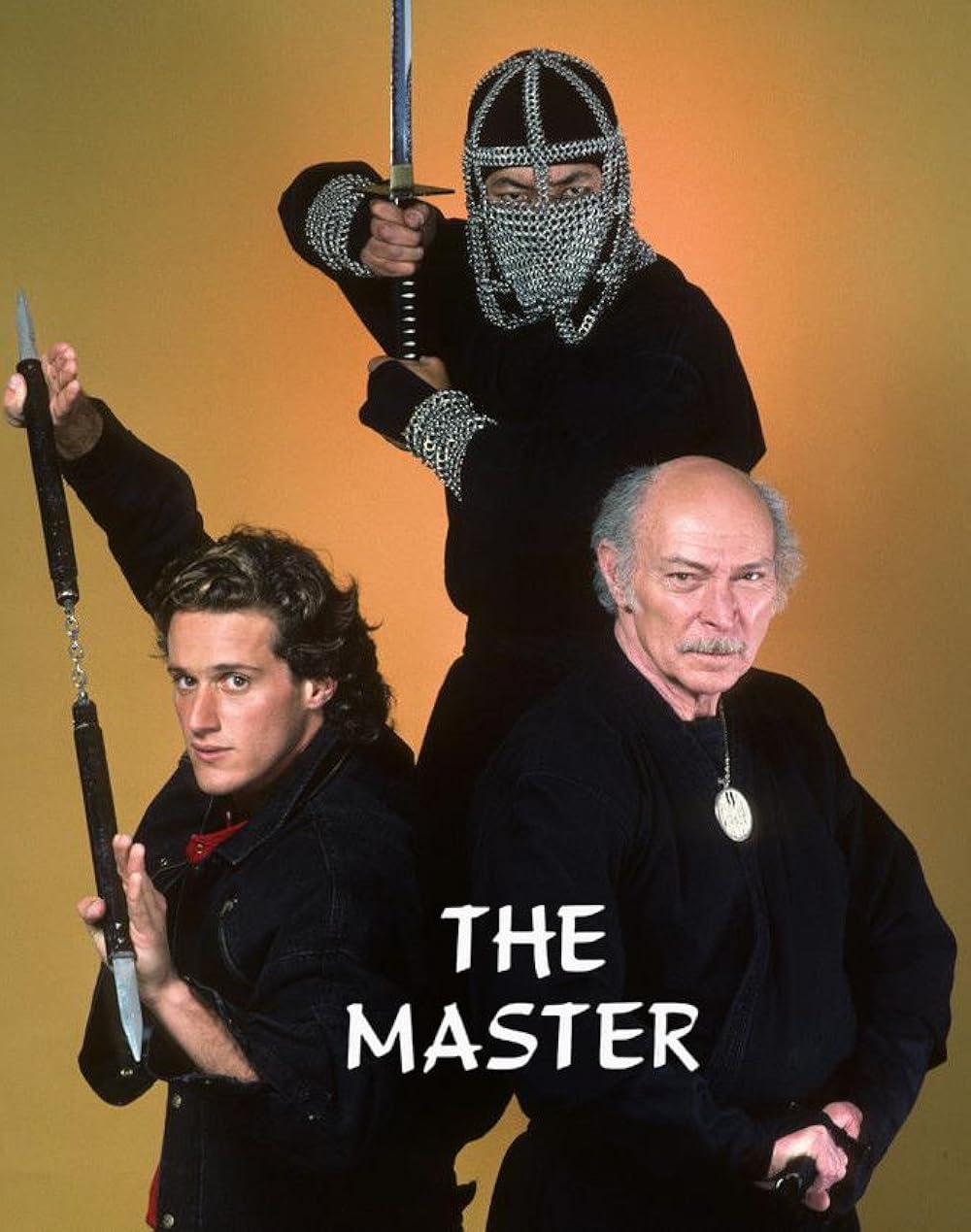 The Master Complete Series 1984 Dvd
