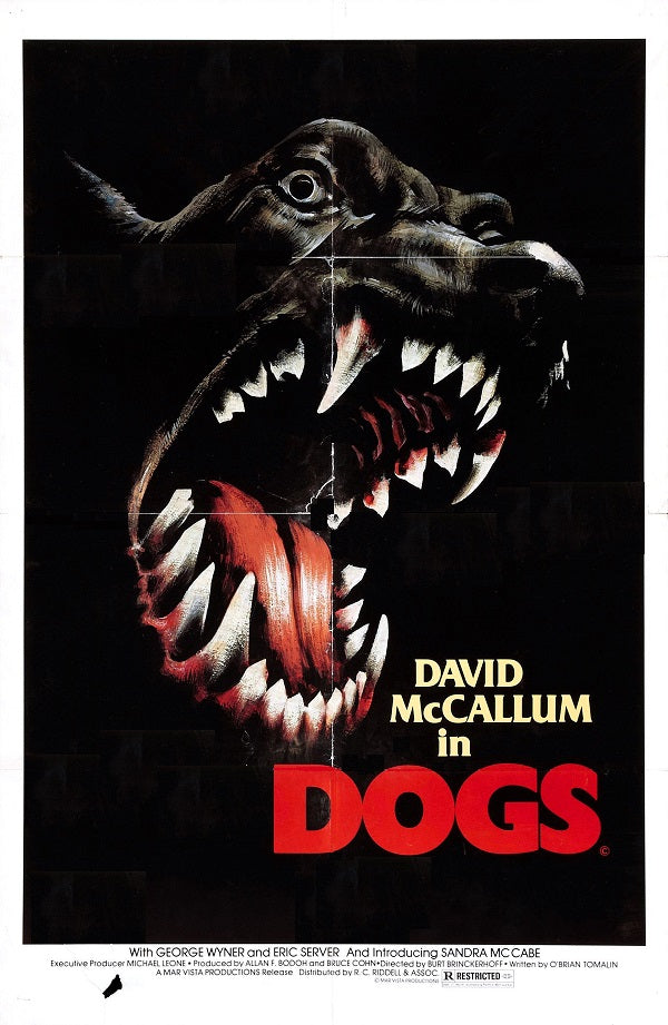 Dogs Dvd (1976)