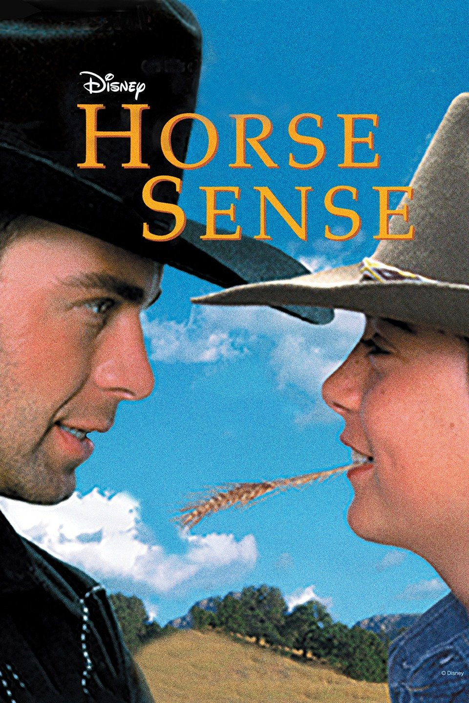 Horse Sense Dvd (1999)Rarefliks.com