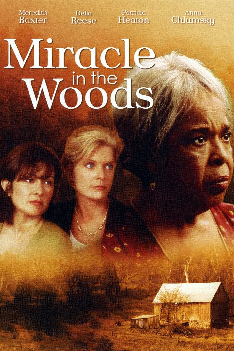 Miracle in the Woods Dvd (1997)