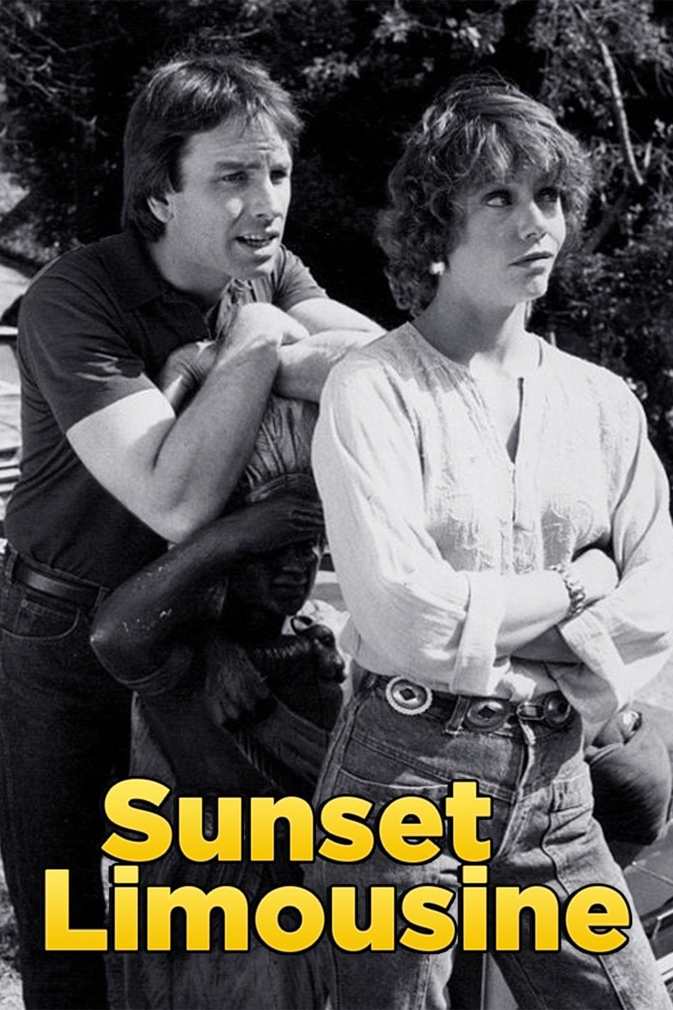 Sunset Limousine Dvd (1983)