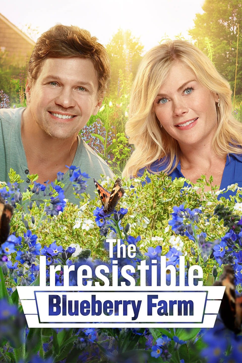 The Irresistible Blueberry Farm Dvd (2016) Rarefliks.com