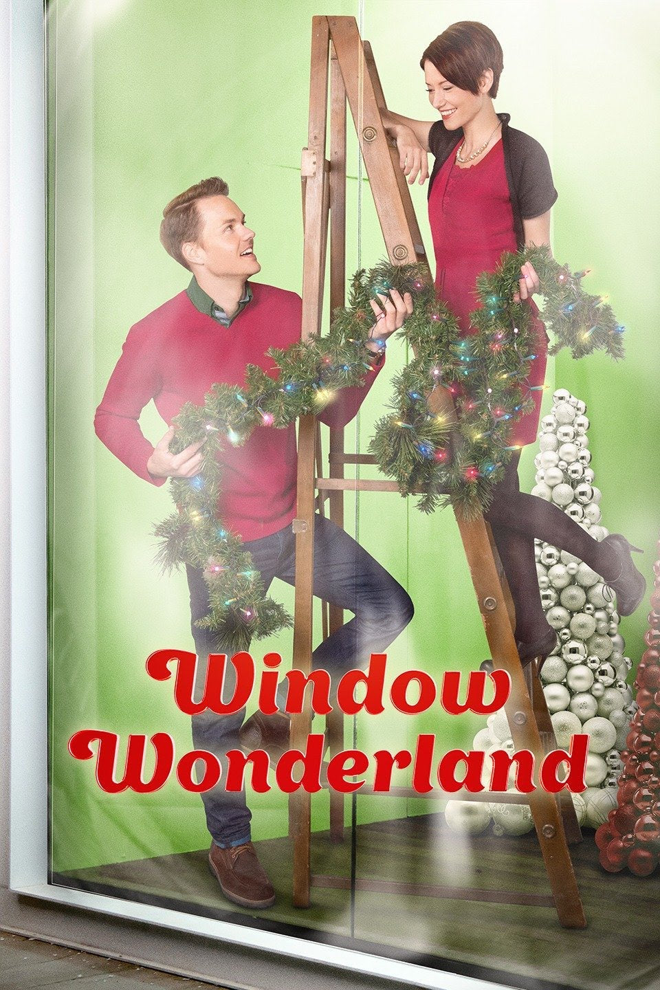 Window Wonderland Dvd (2013)