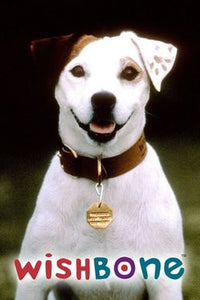 Wishbone Complete Series Dvd